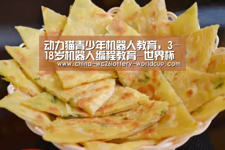 动力猫青少年机器人教育,3-18岁机器人编程教育-世界杯买球网站(图4) 世界杯投注
