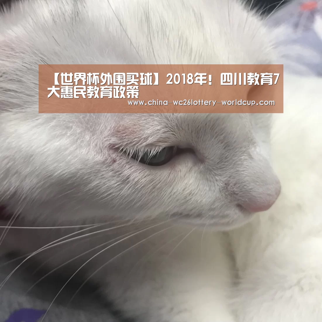【世界杯外围买球】2018年!四川教育7大惠民教育政策(图1) 世界杯买球网站