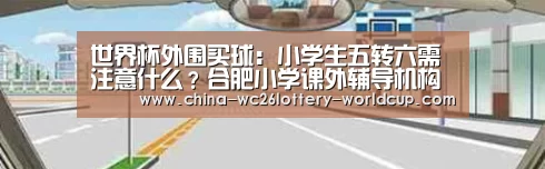 世界杯外围买球:小学生五转六需注意什么?合肥小学课外辅导机构有哪些?(图2) 世界杯外围买球